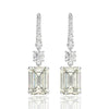 6 Carat Brilliant Emerald Cut Long Tassel Lab-Created Diamond Earring